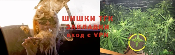 стаф Семикаракорск