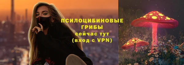 ПСИЛОЦИБИНОВЫЕ ГРИБЫ Абинск