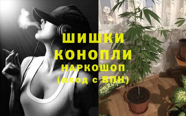 стаф Семикаракорск
