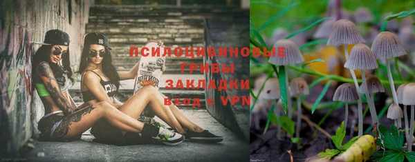 дмт Абаза