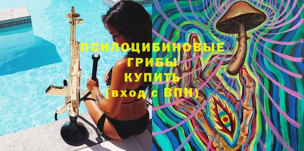 стаф Семикаракорск