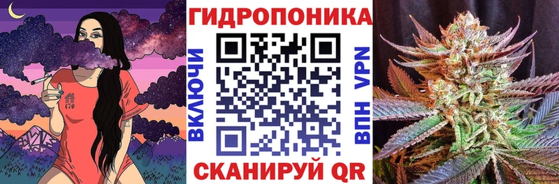 купить наркотик  Карачев  Шишки марихуана сатива 